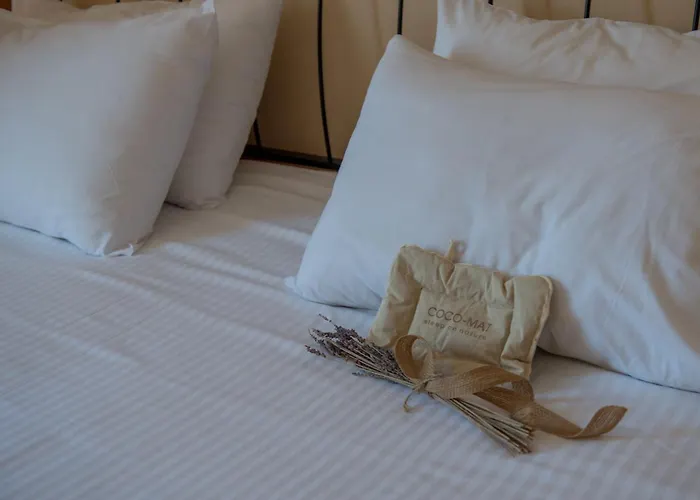 Xenos Kamara 2* Argassi