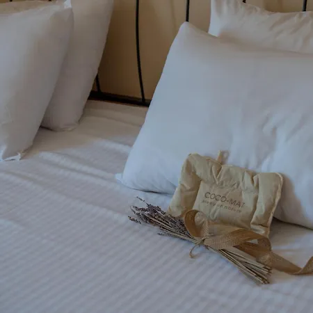 Xenos Kamara 2* Argassi